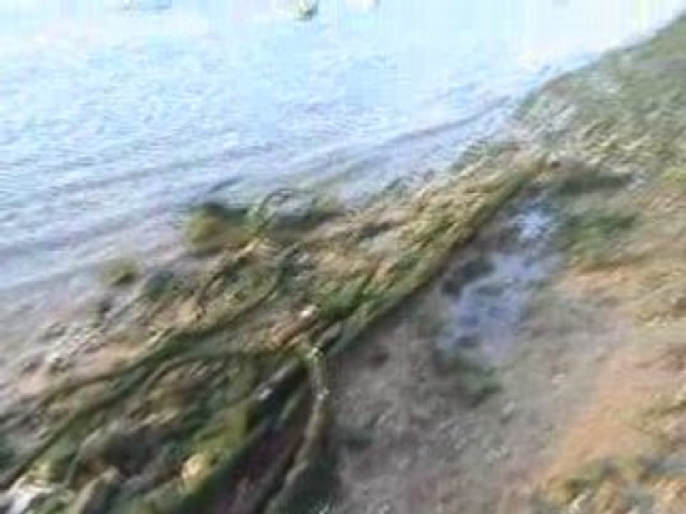 La otra orilla