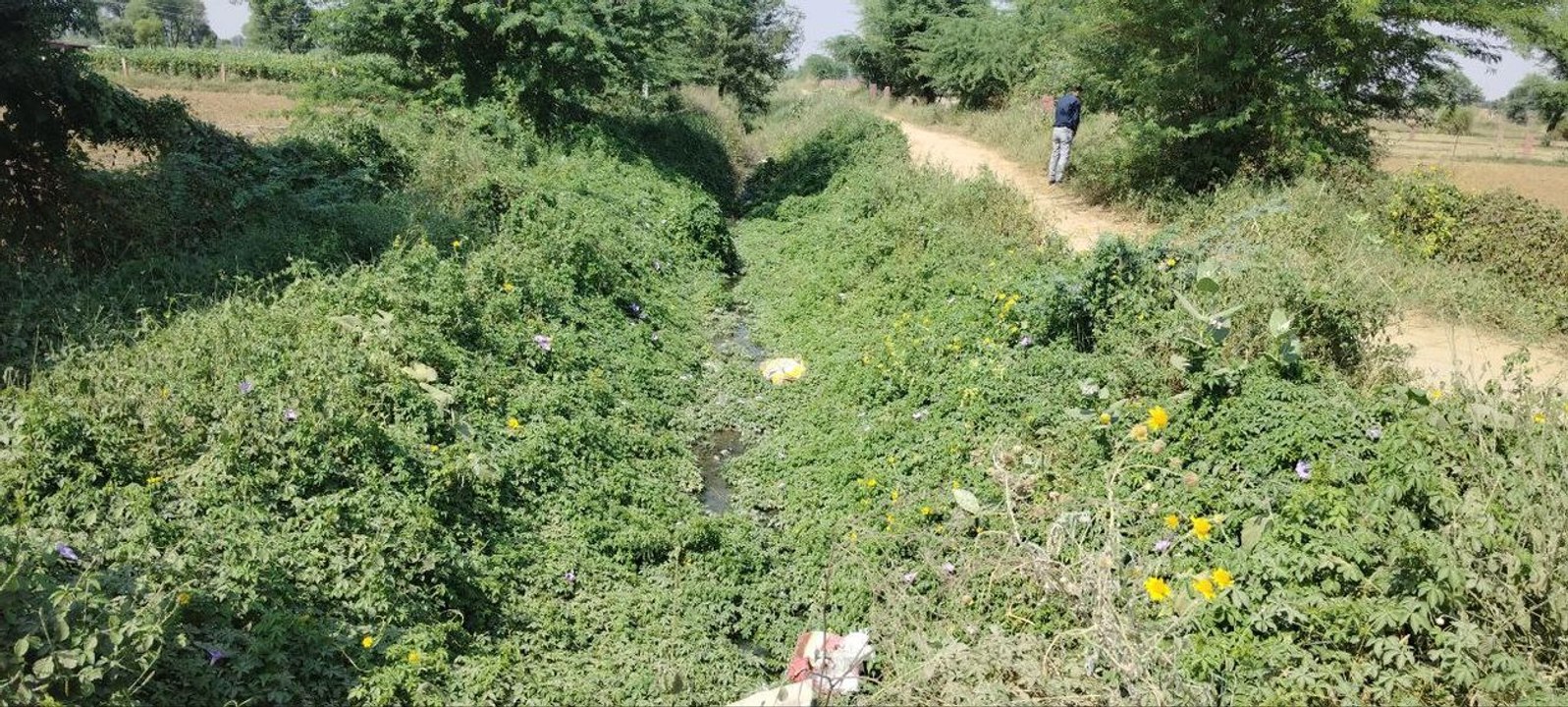 डेढ़ दशक से सूखी पड़ी नहरों में जगर बांध का ‘अम...