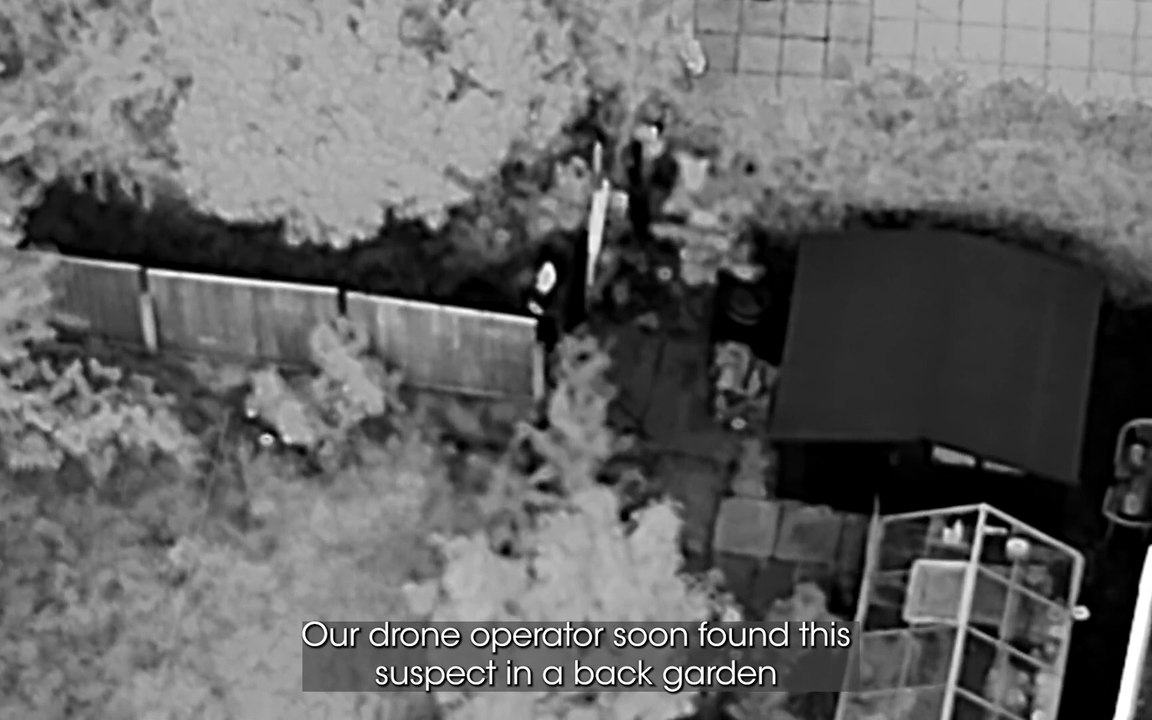 Suspect clambers over garden fences before he's found in bush by police dog