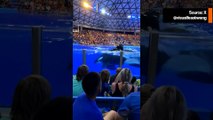 Orca valas ulostaa veteen ennen kuin heittää ulostetta SeaWorldin vierailijoiden päälle, video leviää viraalina