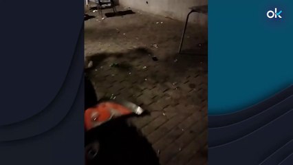 Los Tédax intervienen en una barriada de Huelva tras el segundo tiroteo en 4 días: "Mira, otra granada"