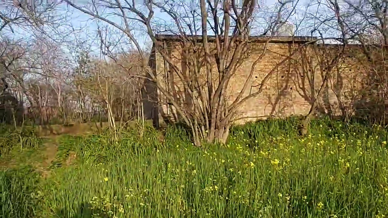 Sar sabz kheht| Like The Video