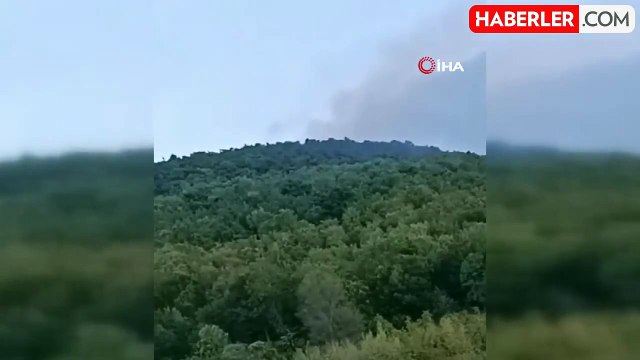 Bursa'daki Orman Yangını Kontrol Altına Alındı