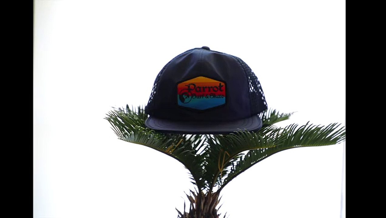 Parrot Surf Shop