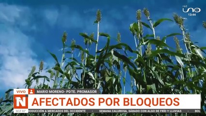 SCZ PROMASOR REPORTA PERDIDAS POR FALTA DE DIÉSEL