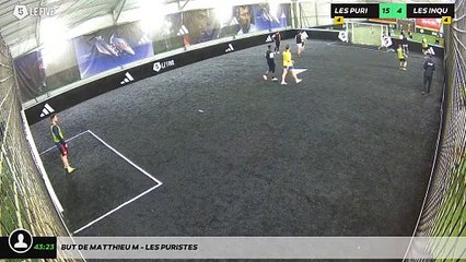 But de Matthieu M - Les Puristes