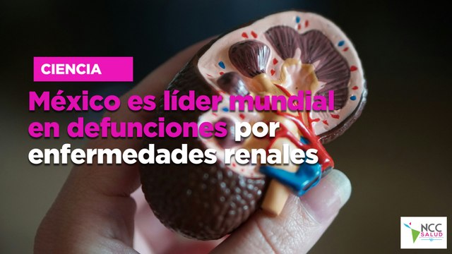 México es líder mundial en defunciones por enfermedades renales
