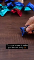 "These Delightful Video Capture The  Kid's Authentic Reactions Captivating Social Media Audiences Follow For More Videos Have Virelreels"...!!