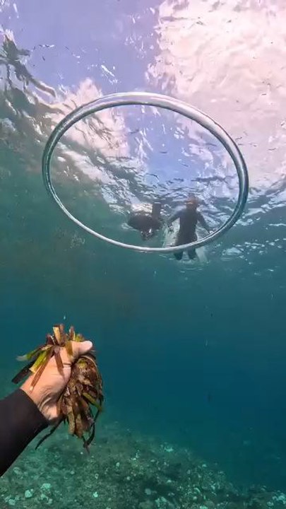 "The Underwater Magically Rings Official Amazing Captured Scenes Follow For More Videos Have Virelreels"...!!