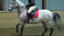 Sonho aux appuyers au galop à droite