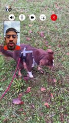 Quand ton pote as une mauvaise connexion