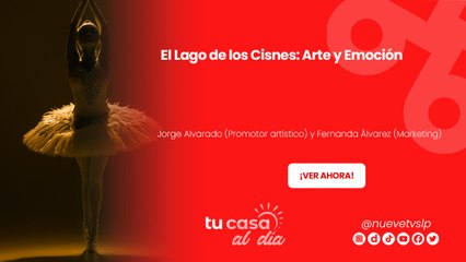 El Lago de los Cisnes: Arte y Emoción