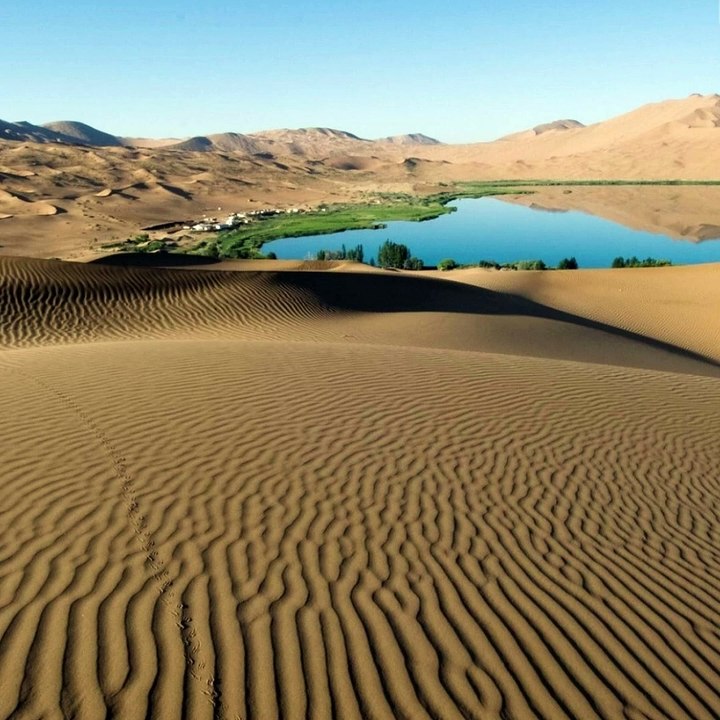 Modern Love | Love Song