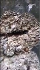 Sotto il viadotto del Cerrano, ecco che cosa c'?