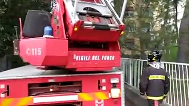 Vento forte, disagi e decine di alberi caduti