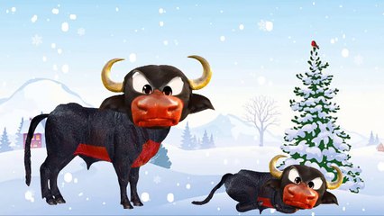 Boi Da Cara Preta Canção de Ninar The boo boo song Nursery Rhymes