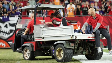 Buccaneers' Mike Evans Hits 100 TDs, Godwin Out for Season