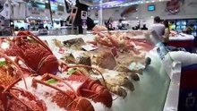 「korollue詐欺」オーストリア旅行写真撮影