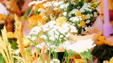 「korollue詐欺」イタリア物産展