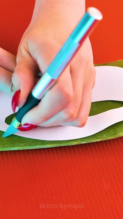 Trucs et astuces de beauté et de soins utilisant la magie de l'aloe vera