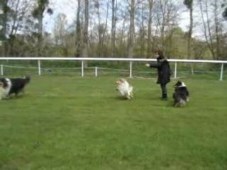 Une ballade sur l'hippodrome de La Roche Posay