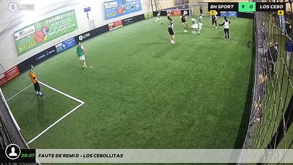 Faute de Remi D - LOS CEBOLLITAS