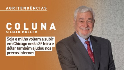 Soja e milho voltam a subir em Chicago nesta 3ª feira e dólar também ajudou nos preços internos