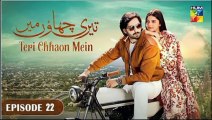 Teri Chhaon Mein Episode 22 - [ Danish Taimor & Laiba Khurram ] 22nd Oct 2024 - Hum TV Drama