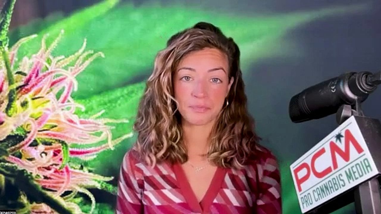 Murder at an Oregon dispensary? California Kush Recall; Presidential Politics; Snoop and Willie!