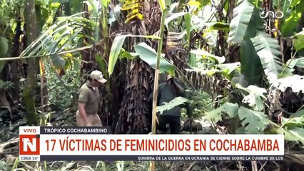 17 feminicidios