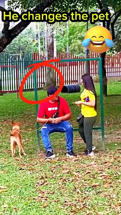 DOGGY PRANK,,,,