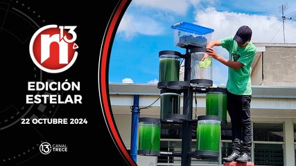 22 Octubre 2024 | Edición Estelar - Trece Noticias