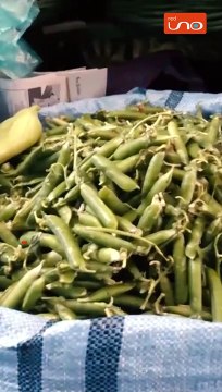 #Bolivia | Los productores se declararon en emergencia ante la falta de combustible y los problemas que desde hace meses aquejan al sector