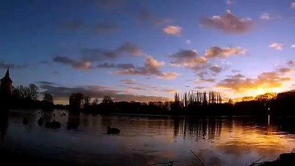 Sunset lake... flying bird sky