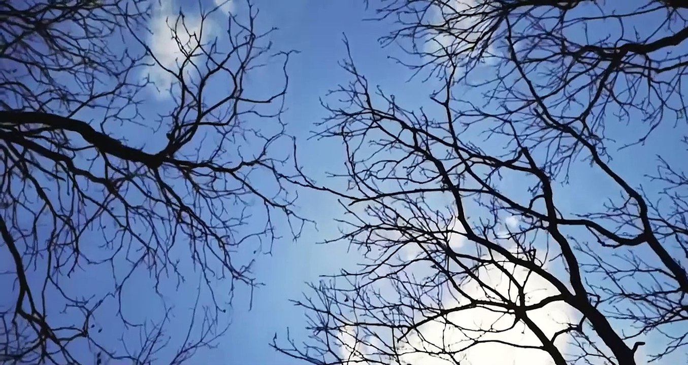 Algerian Energy Company  الشركة الجزائرية للطاقة  version FR