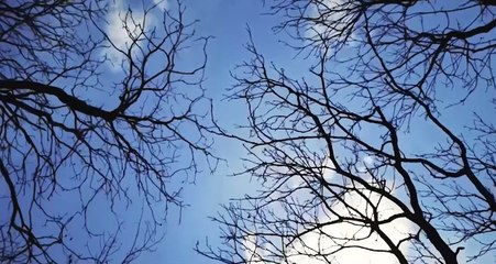 Algerian Energy Company  الشركة الجزائرية للطاقة  version FR