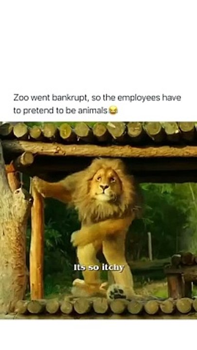 Animal.