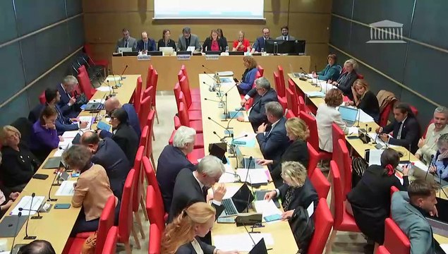 Commission des affaires culturelles : Examen de la seconde partie du projet de loi de finances pour 2025 : missions « Culture » ; « Médias, livre et industries culturelles » ; « Audiovisuel public » - Mardi 22 octobre 2024