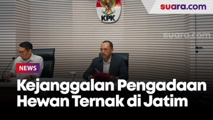 Terkait Korupsi Dana Hibah, KPK Temukan Kejanggalan dalam Pengadaan Hewan Ternak di Jatim