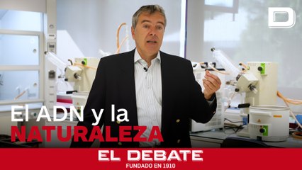 ¿Qué es el ADN ambiental y por qué podría ayudarnos a estudiar la naturaleza?, por Castells