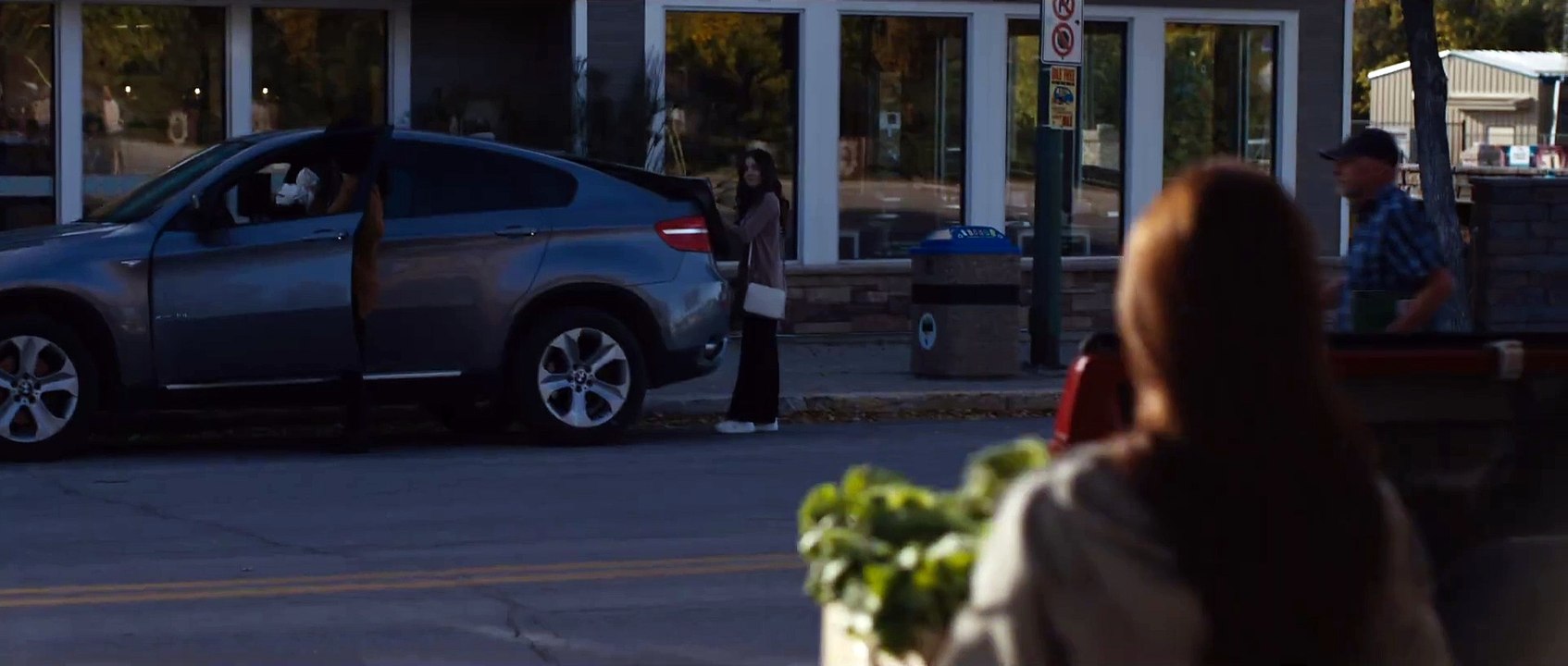 Polarized Trailer OmdU