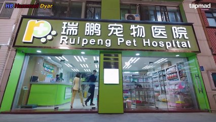 My-Little-Happiness-Ep-14-Hindi-Dubbed