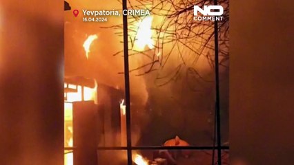 Nach Feuer im Zoo auf der Krim: Nur zwei Bären überleben