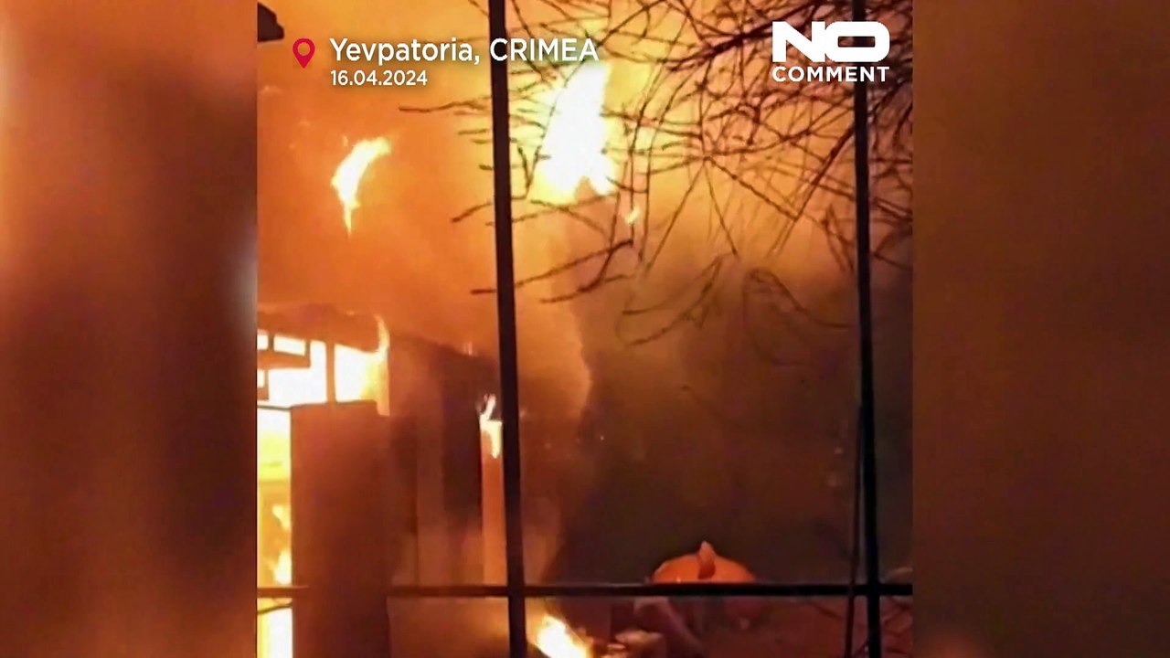 Nach Feuer im Zoo auf der Krim: Nur zwei Bären überleben