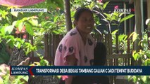 Transformasi Desa Bekas Tambang Galian C Jadi Tempat Budidaya