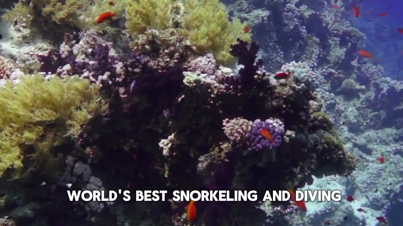 Discovering the Maldives: A Paradise of Sea and Serenity