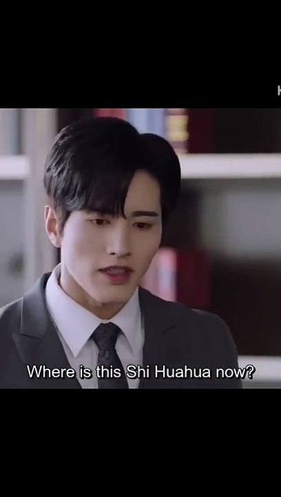 #Where_is_this_Shi_huahua_Perfect_mismatch_c_-_drama#k_-_pop
