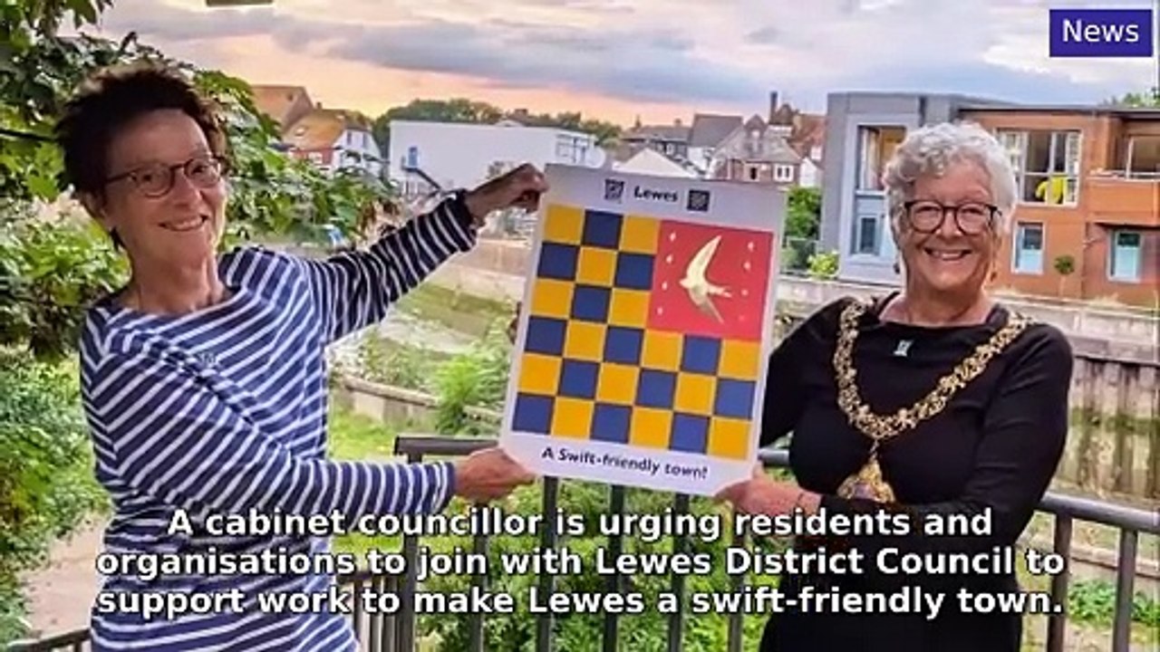 Sussex World Morning Update 23 October, 2024