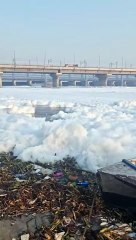 Schiuma tossica invade il fiume Yamuna a Delhi