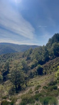 BALADE DOMINICALE en forêt domaniale